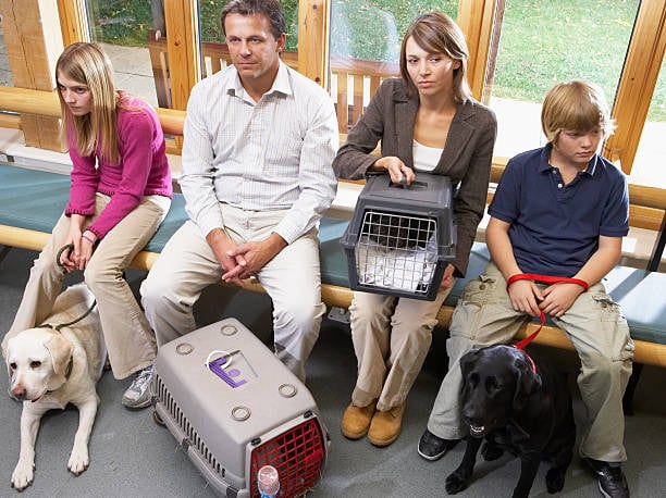 family waiting in busy lobby of pet-care business