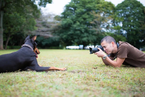 photographer on ground taking picture of relaxed dog