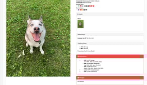 A screenshot displaying information gathered about a pet via Gingr PreCheck.