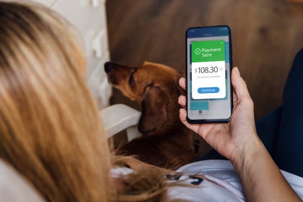 mobile-phone-with-a-financial-application-on-screen-relax-woman-with-her-dog-transfers-money