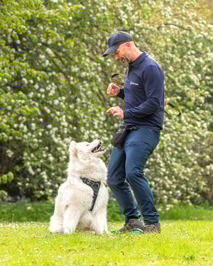 Darren - Board and Train