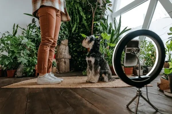influencer selling pet products with dog and ring light