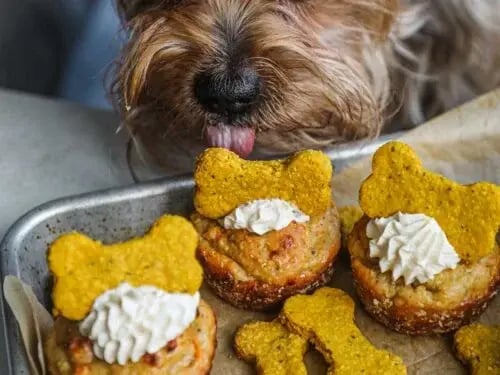 Fall-Inspired Dog Treats: 4 Seasonal Recipes to Try