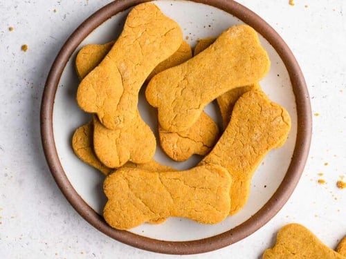 Fall-Inspired Dog Treats: 4 Seasonal Recipes to Try