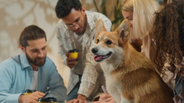 pet-care staff meeting with smiling dog