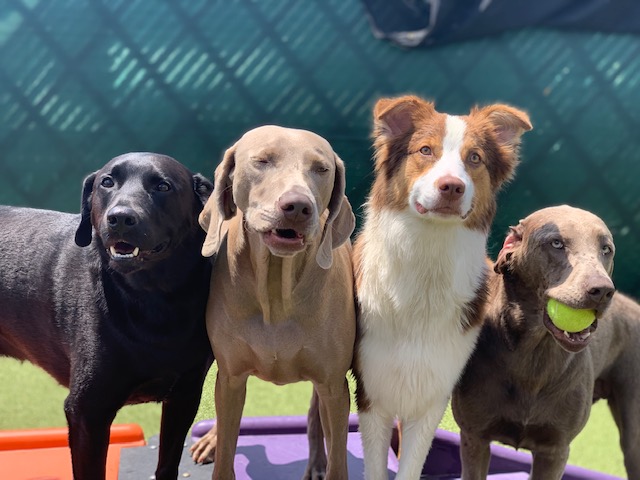 Solving Revenue Leaks & Nailing Customer Communication