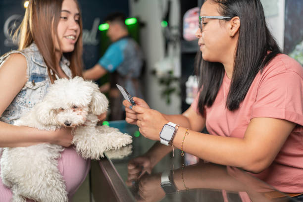 pet parent and small dog at receptionist desk at busy pet-care business with receptionist on mobile app