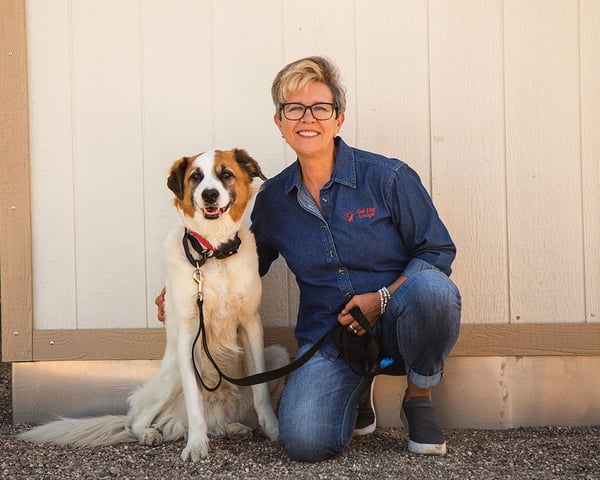 Pawsitively Perfect: How Gingr Helps Sol Dog Lodge Stay Ahead of the Pack