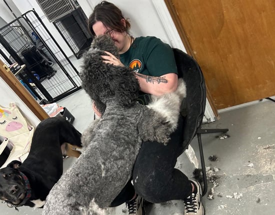 groomer nuzzling dog at zoo dog gone cute salon