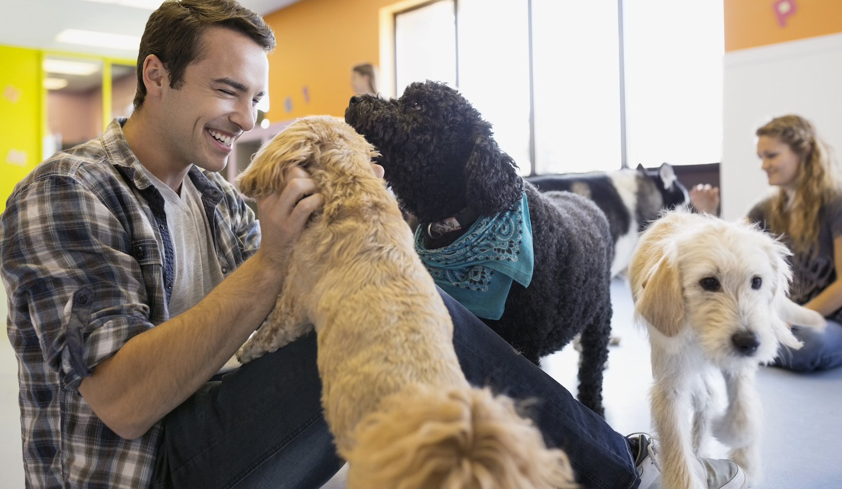 Scaling Success: How to Maintain Consistency Across Multiple Pet-Care Locations
