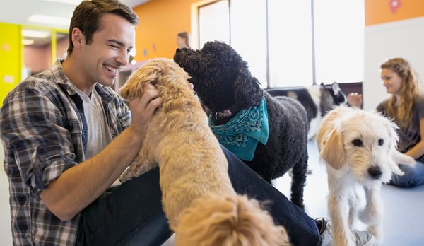 Scaling Success: How to Maintain Consistency Across Multiple Pet-Care Locations
