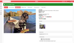 A screenshot of a pet profile in Gingr's pet scheduling software.