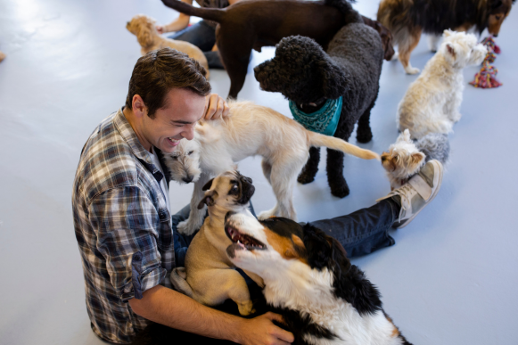 A man pets two dogs inside at an indoor dog play location.