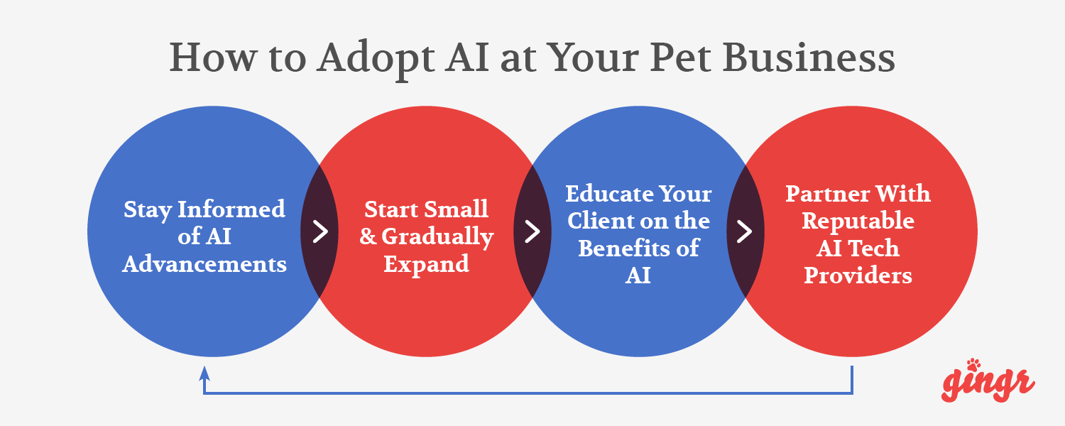 The basic steps your pet-care business should take to implement AI (detailed below).