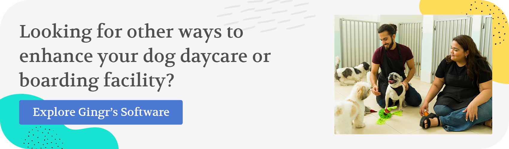 Looking for other ways to enhance your dog daycare or boarding facility? Explore Gingr’s software.