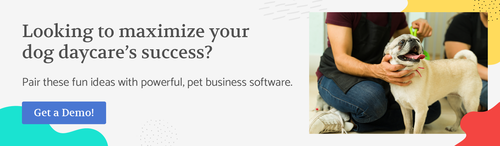 Looking to maximize your dog daycare’s success? Pair these fun ideas with powerful pet business software. Get a demo!