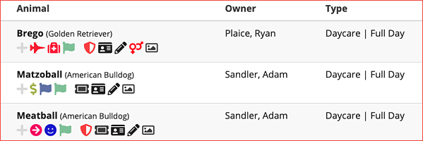 A screenshot of how data is stored in Gingr’s dog daycare software, including columns for the animal, owner, and booking type details.