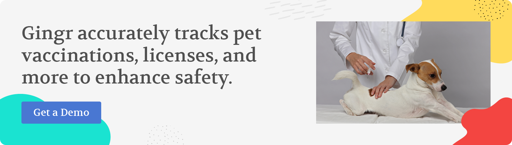 Gingr accurately tracks pet vaccinations, licenses, and more to enhance safety. Get a demo.