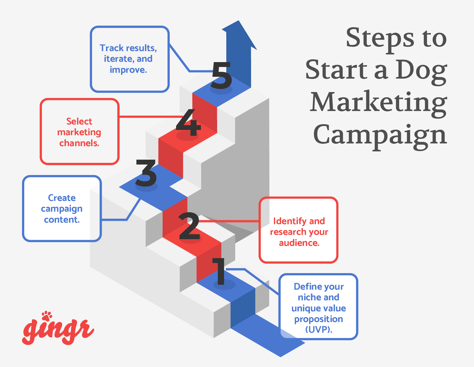 The five steps to starting a dog marketing campaign, detailed in text below.