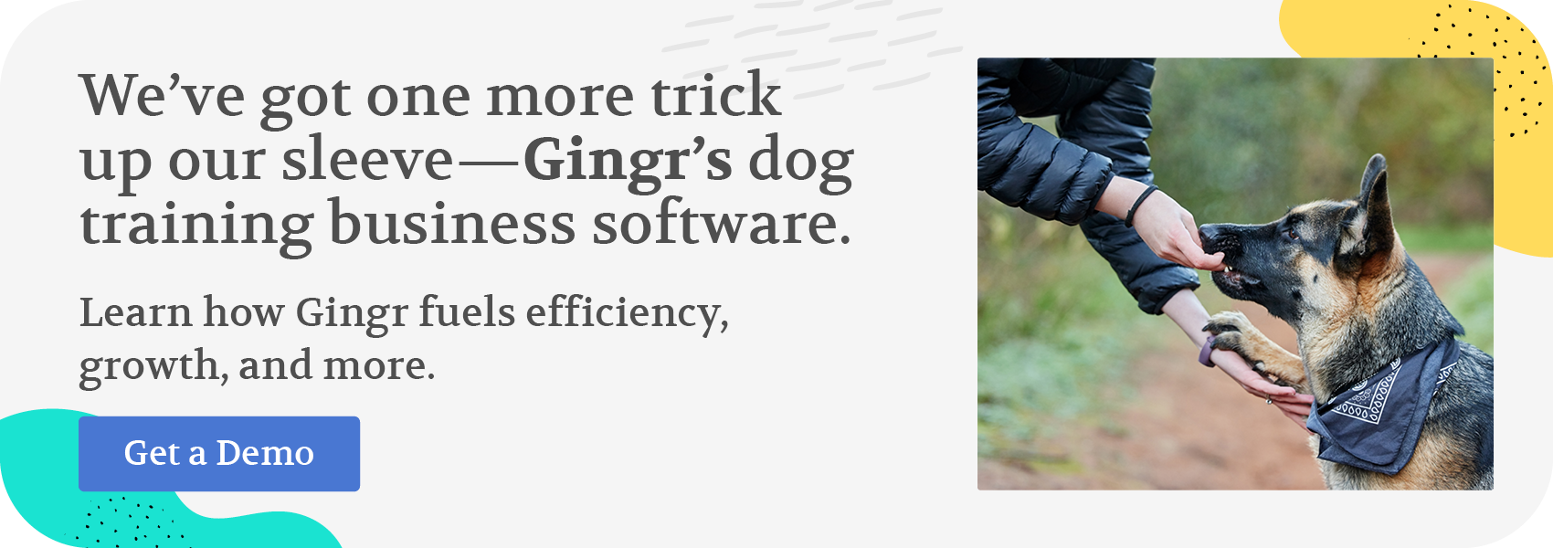 We’ve got one more trick up our sleeve—Gingr’s dog training business software. Learn how Gingr fuels efficiency, growth, and more. Get a demo!