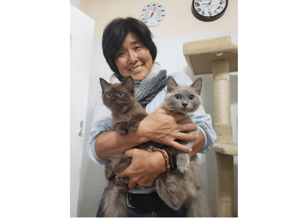 cats and woman at Happy Cats Retreat boarding facility 