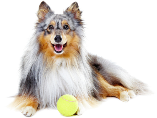 GettyImages-164774004-1