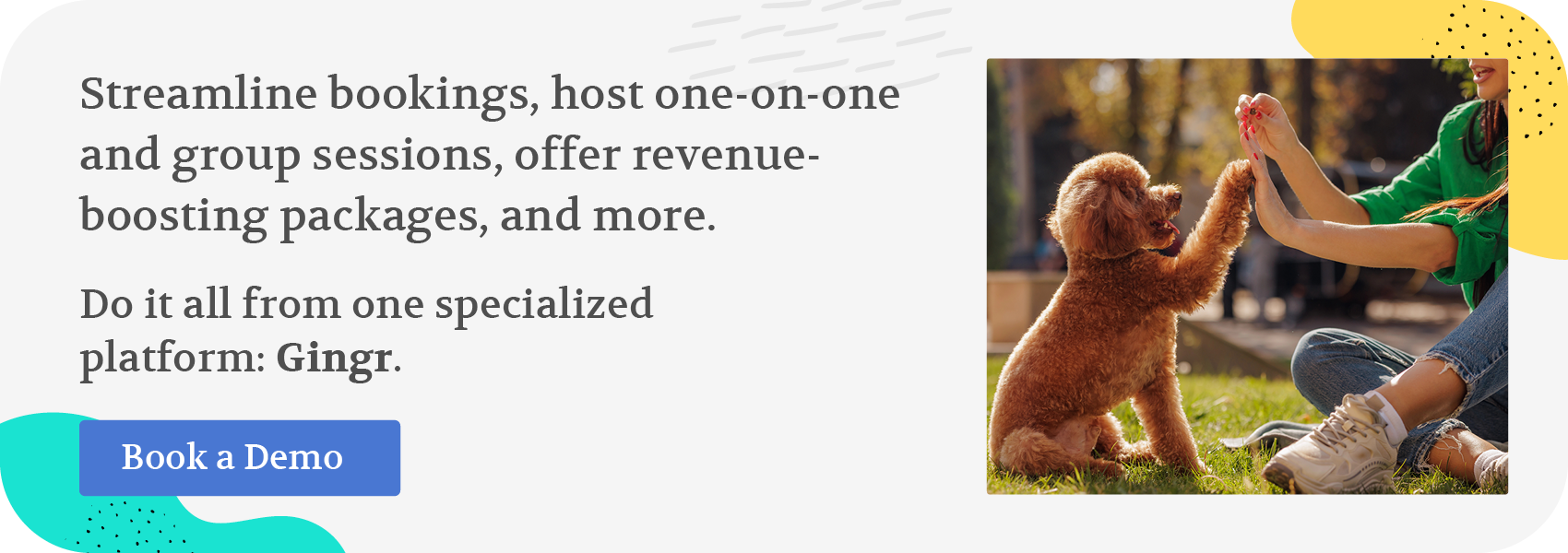 Streamline bookings, host one-on-one and group sessions, offer revenue boosting packages, and more. Do it all from one specialized platform: Gingr. Book a demo.