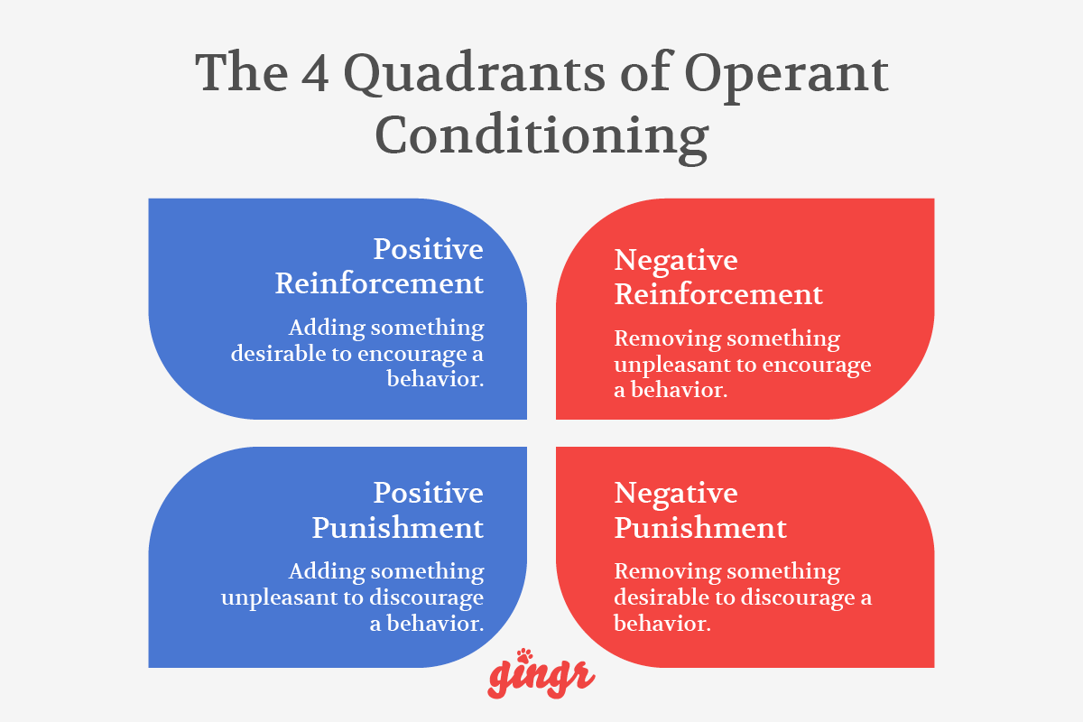 The four quadrants of operant conditioning (detailed below).