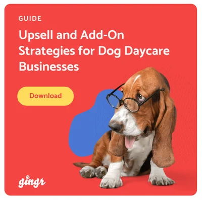 CTA Upsell Add-On Guide