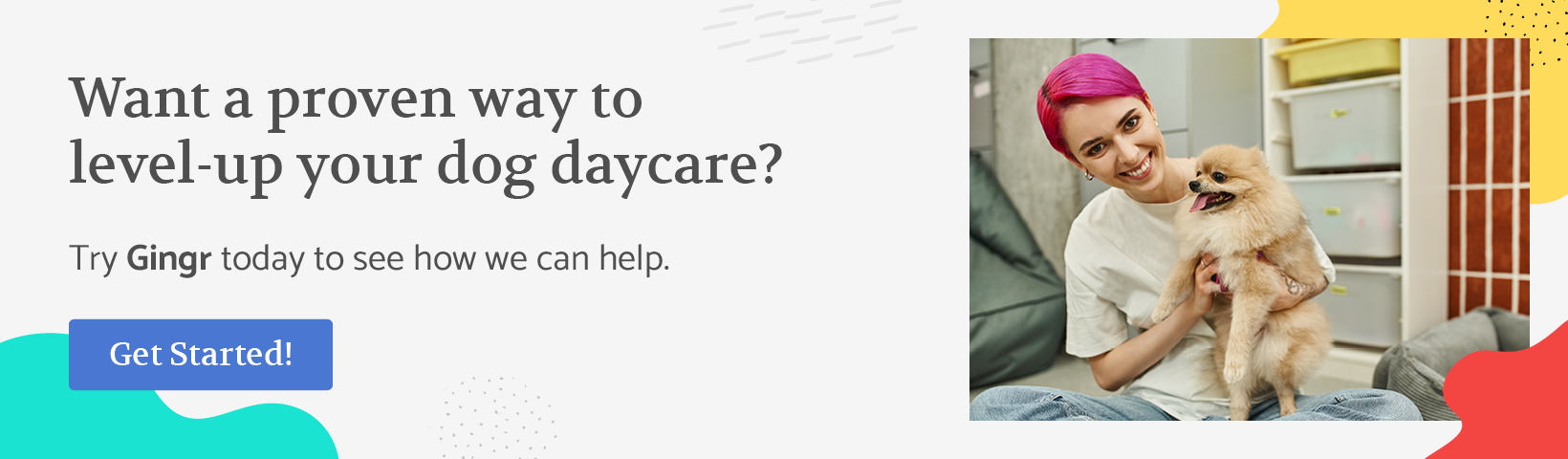 Want a proven way to level up your dog daycare? Try Gingr today to see how we can help.