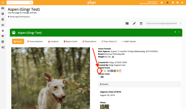 Gingr pet profile with animal icons