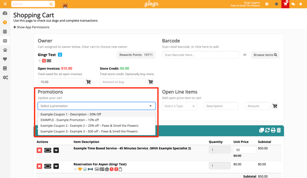applying promotions in Gingr screenshot
