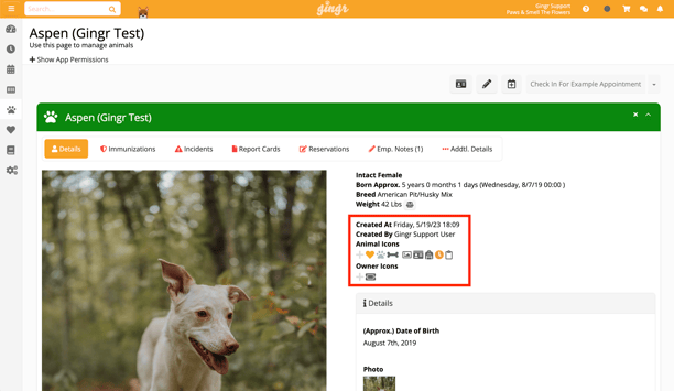 Gingr platform showing animal profiles and icons for pet owners and staff