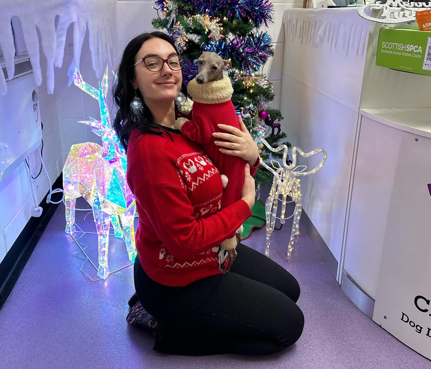 Chilled Dawgz Owner Nicola with a small dog inside her dog daycare business during the holidays