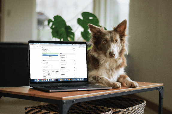 A dog sits on a table next to an open laptop