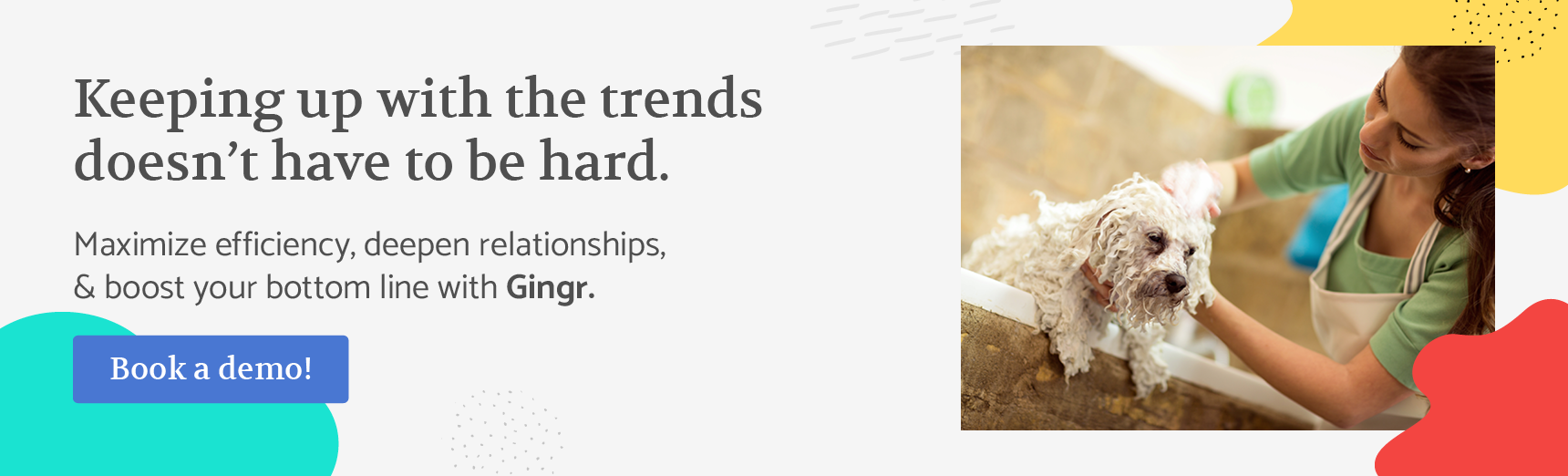 Keeping up with the trends doesn’t have to be hard. Maximize efficiency, deepen relationships, and boost your bottom line with Gingr. Book a demo!