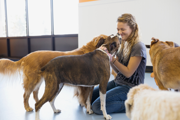 A woman pets two dogs as they sniff her face