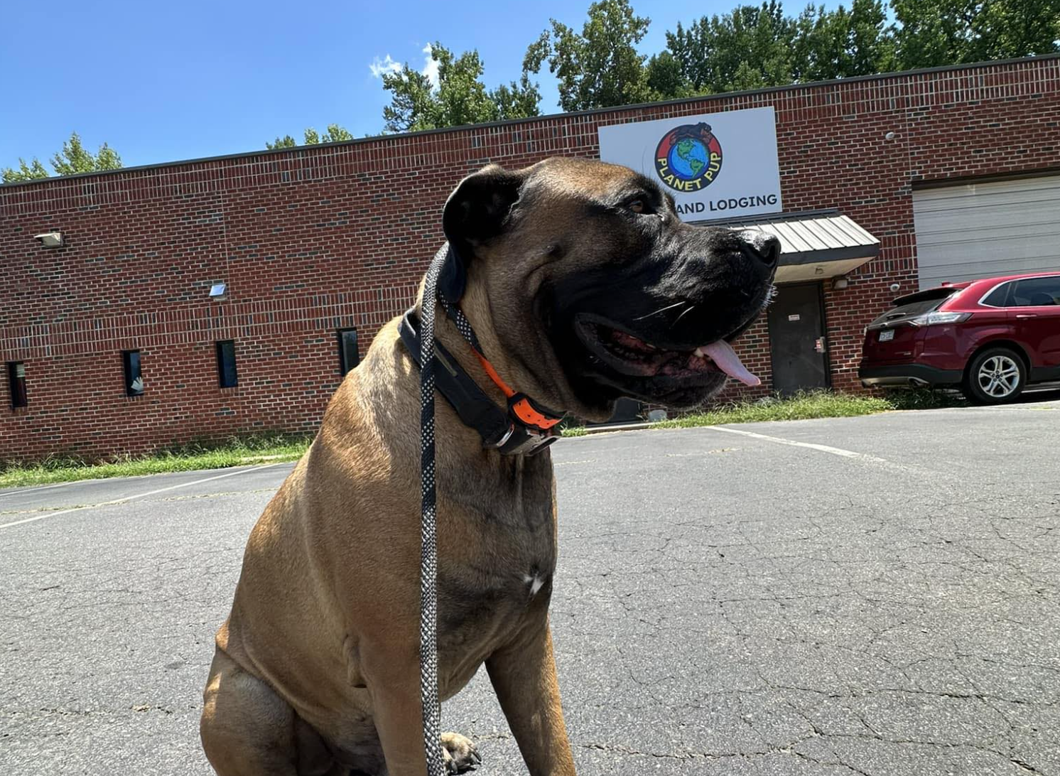 Planet Pup dog daycare and boarding facility