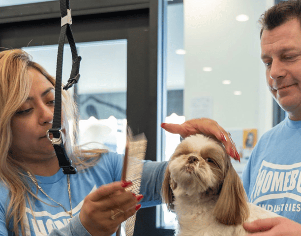 David Duran and another dog groomer comb a dog at the salon