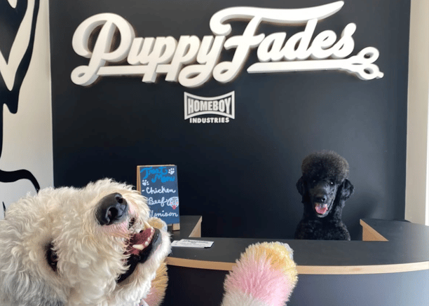 two smiling dogs at the front desk of Puppy Fades dog grooming salon