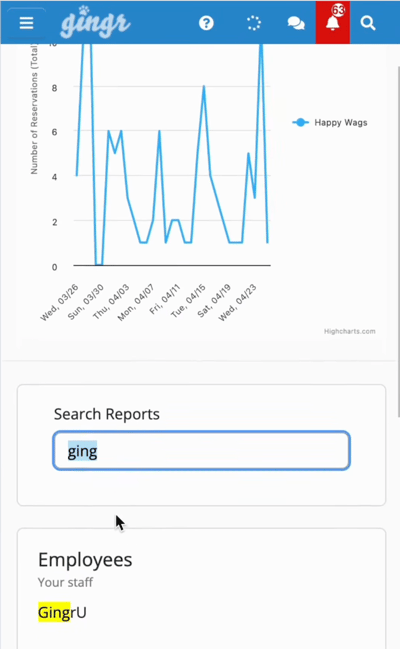 gingru report example