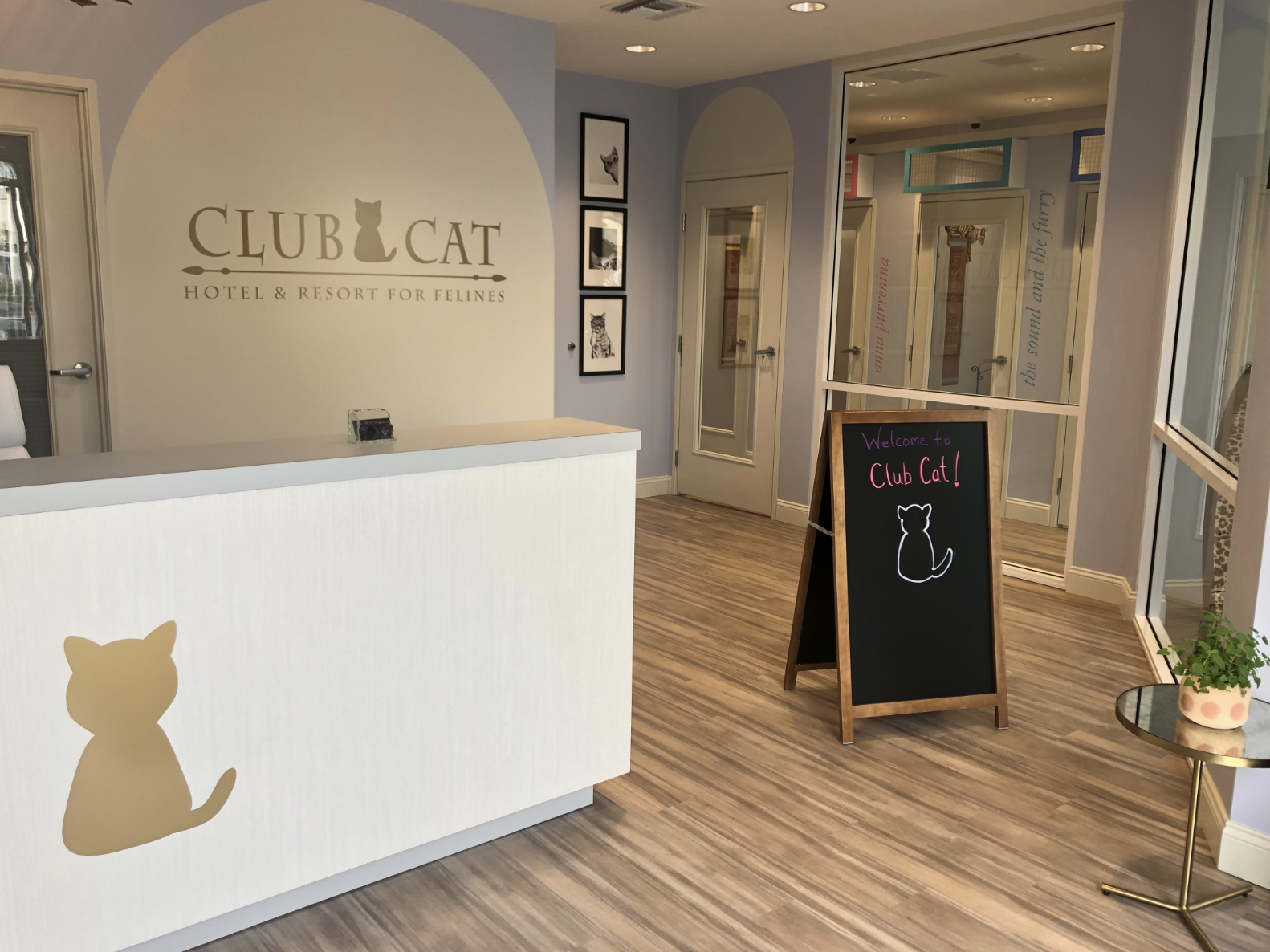The Purrfect Solution: Club Cat's Triumph with Gingr