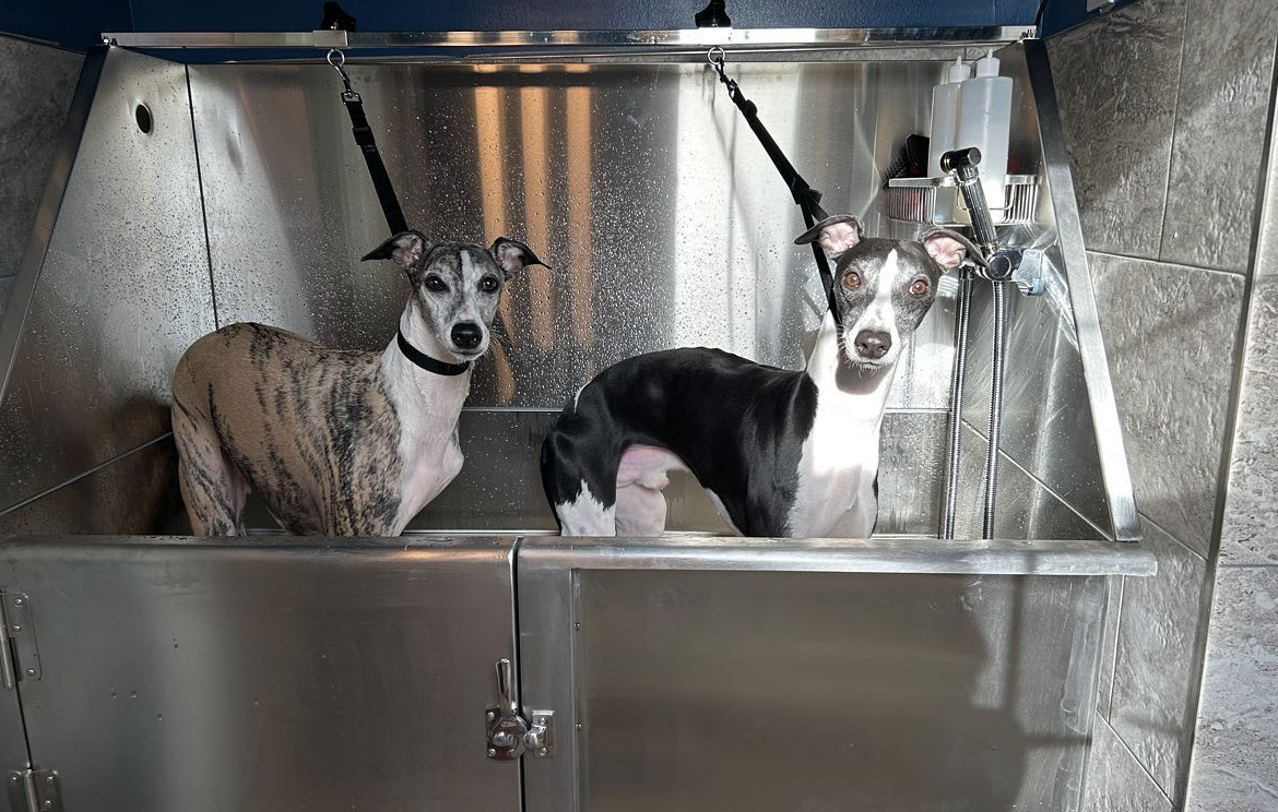 Clip It Good Grooming LLC: A Tail-Wagging Success Story with Gingr