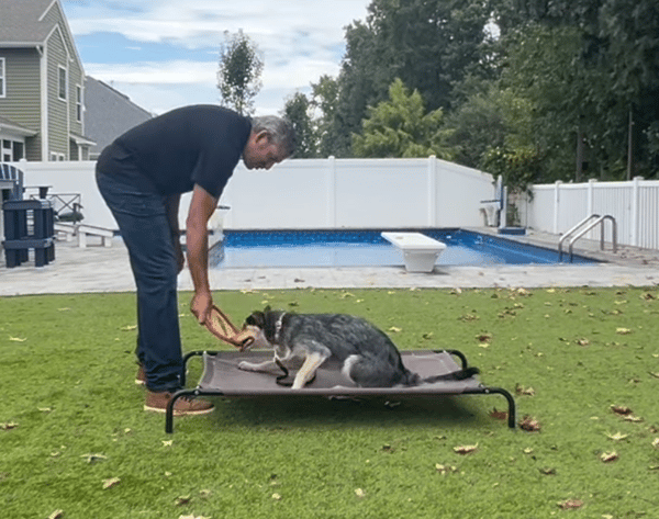 DeWayne trains a dog