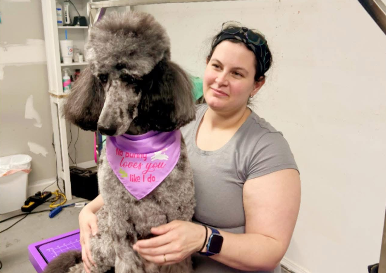 soo dog gone cute grooming salon dog groomer and pet