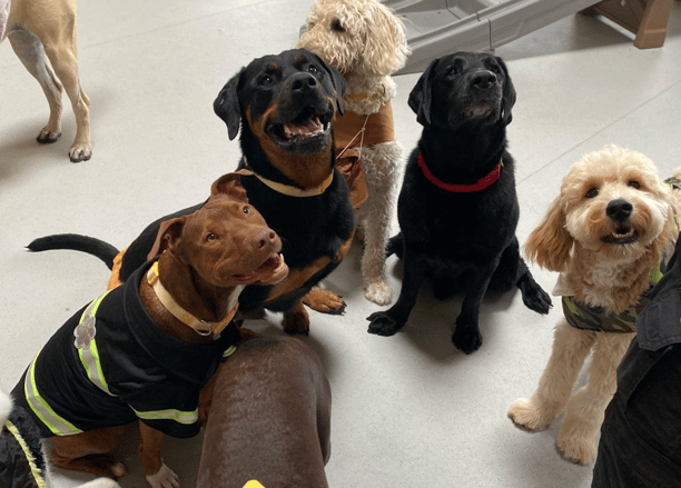 group boarding at tails of hawaii