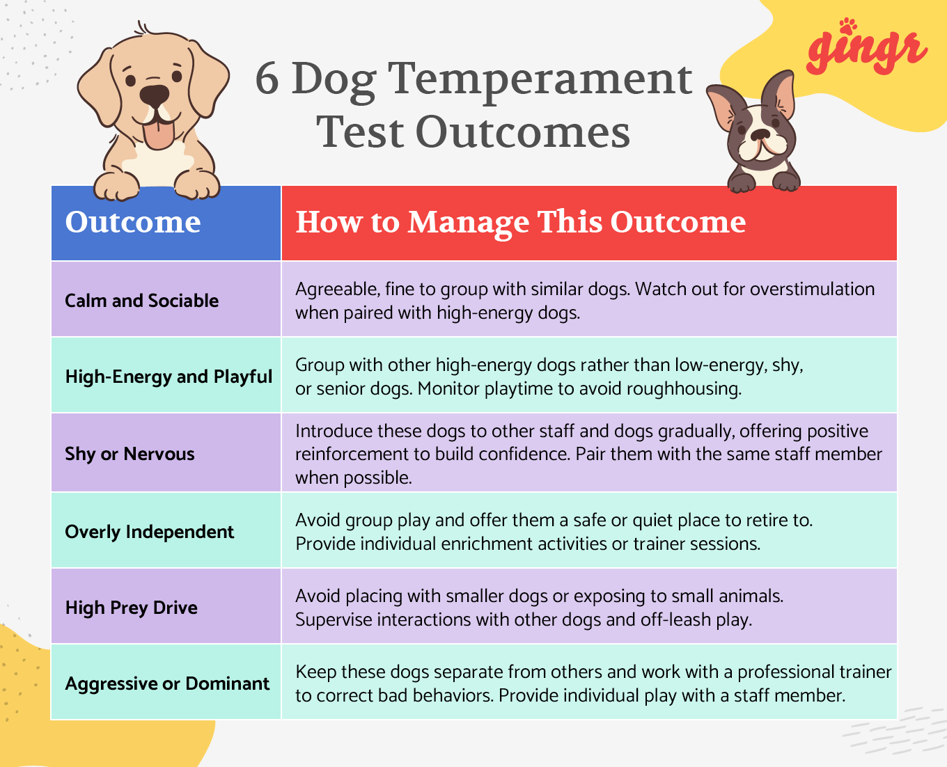 A list of possible dog temperament test outcomes with tips on how to manage each one (also detailed in the text below).