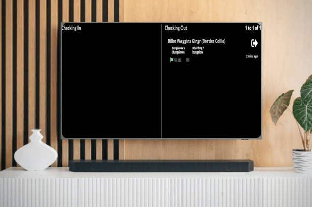 digital whiteboard display on a TV