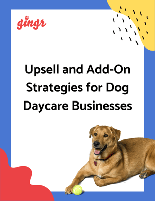 Upsell and Add-On Strategies for Dog Daycare Businesses