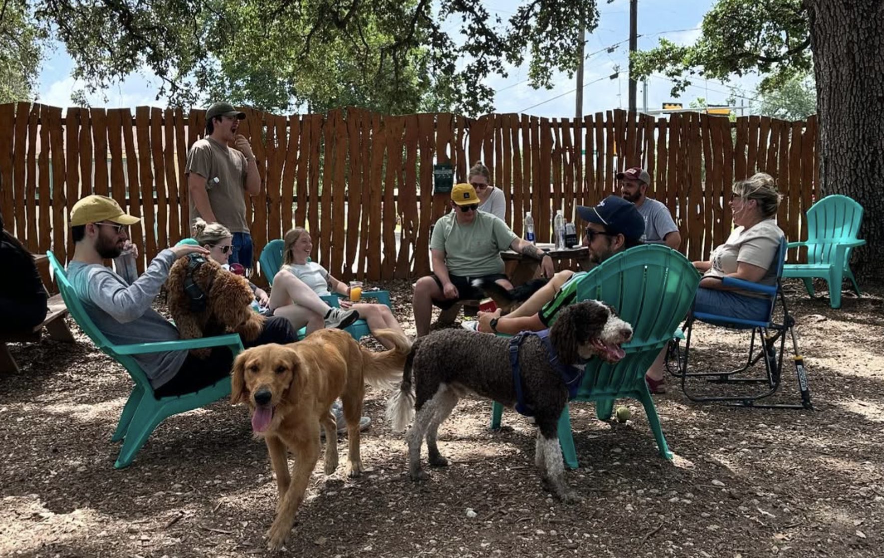 pet parents and dogs relaxing outside The Watering Hole dog park and bar